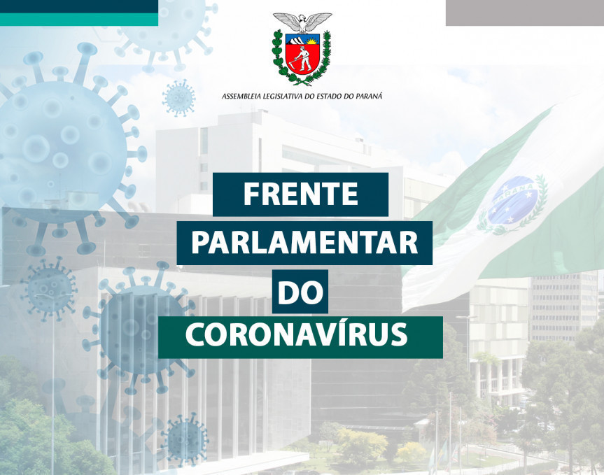 Reunião do grupo de trabalho acontece nesta terça-feira (15) a partir das 9h30 com transmissão ao vivo pela TV Assembleia para a apresentação do relatório das atividades em 2020.